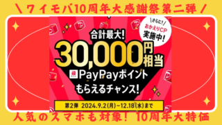 【12/18まで】ワイモバイル10周年大感謝祭第二弾！最大30000円相当のPayPayがもらえるチャンス！さらにおかえりキャンペーンも 